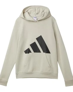 adidas Kids Essential Big Logo Fleece Hooded Pullover (Big Kid)