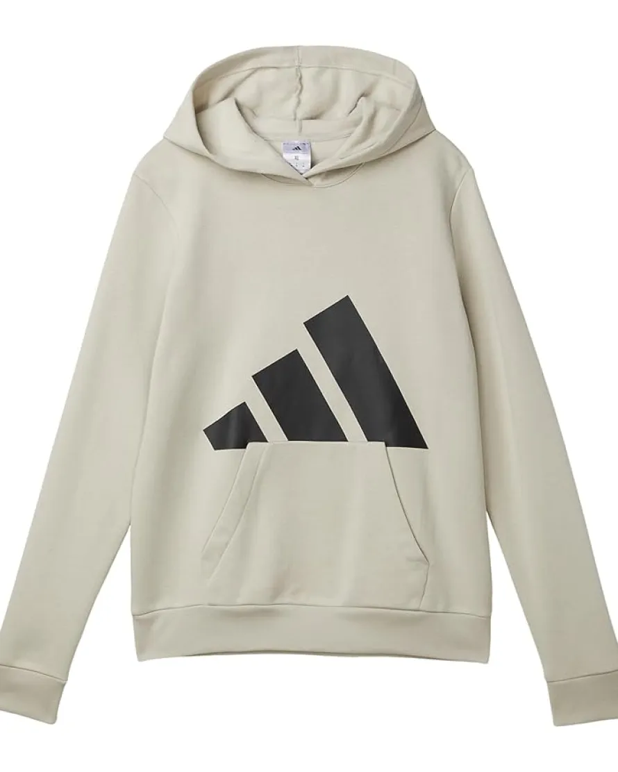 adidas Kids Essential Big Logo Fleece Hooded Pullover (Big Kid)