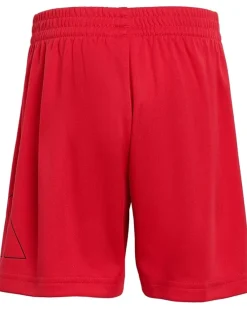 adidas Kids Essentials Big Logo Shorts