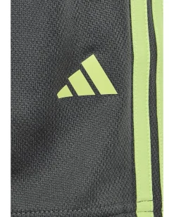 adidas Kids Essentials 3-Stripe Shorts (Toddler/Little Kids)