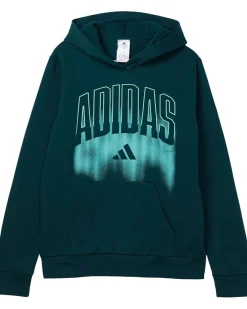 adidas Kids Graphic Fleece Hooded Pullover (Big Kid) Men's