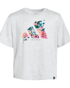 adidas Kids Graphic Heather Tee (Big Kid)