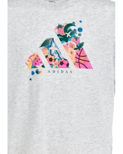adidas Kids Graphic Heather Tee (Big Kid)