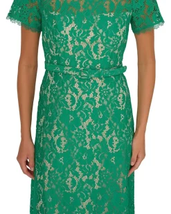 Adrianna Papell Lace Soft Skirt Midi Dress Women's