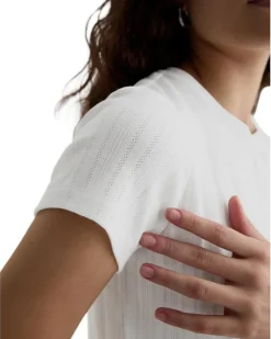 AG Jeans Sadie Crew Neck Crop T-Shirt Women's