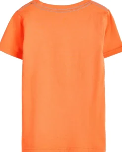 Appaman Kids Graphic Short Sleeve Tee (Toddler/Little Kid/Big Kid)