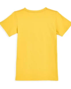 Appaman Kids Graphic Short Sleeve Tee (Toddler/Little Kid/Big Kid)