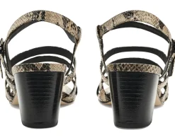 Bernardo Novi Women's