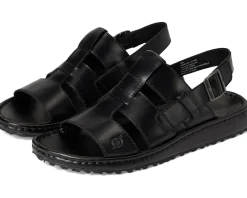 Born Corey Men's
