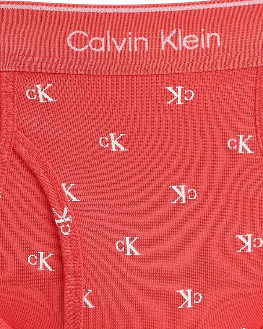 Calvin Klein Underwear Cotton Classics Brief 3-Pack Men's