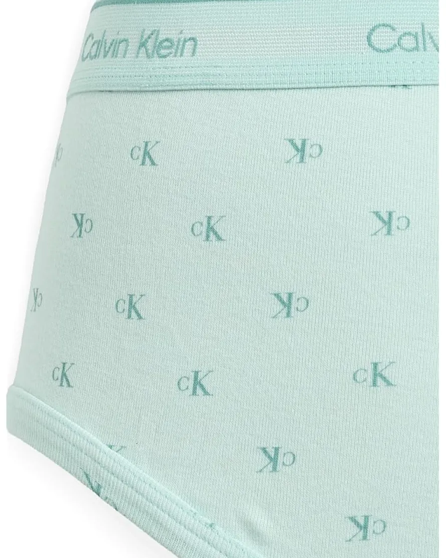 Calvin Klein Underwear Cotton Classics Brief 3-Pack Men's