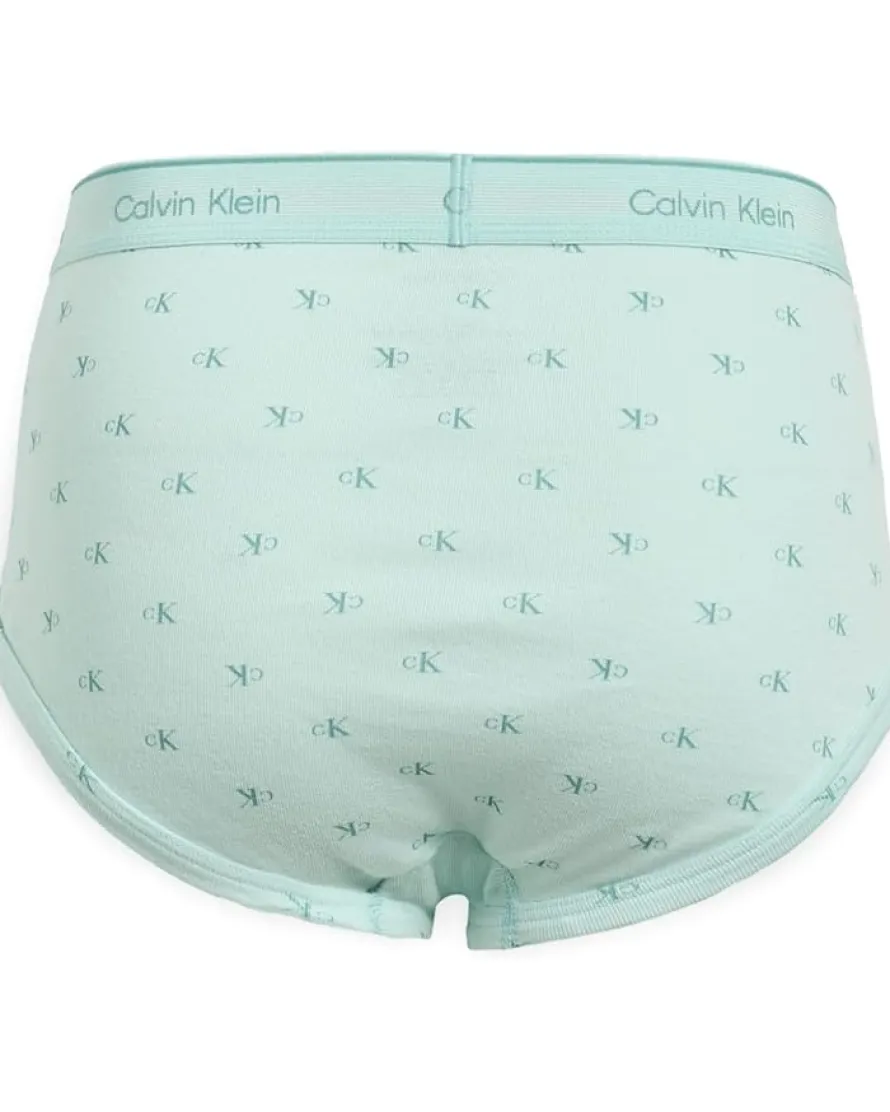 Calvin Klein Underwear Cotton Classics Brief 3-Pack Men's