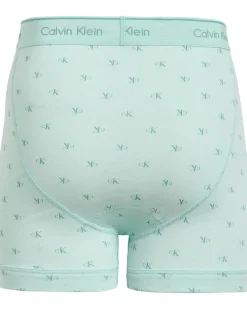 Calvin Klein Underwear Cotton Classics Boxer Brief 3-Pack Men's