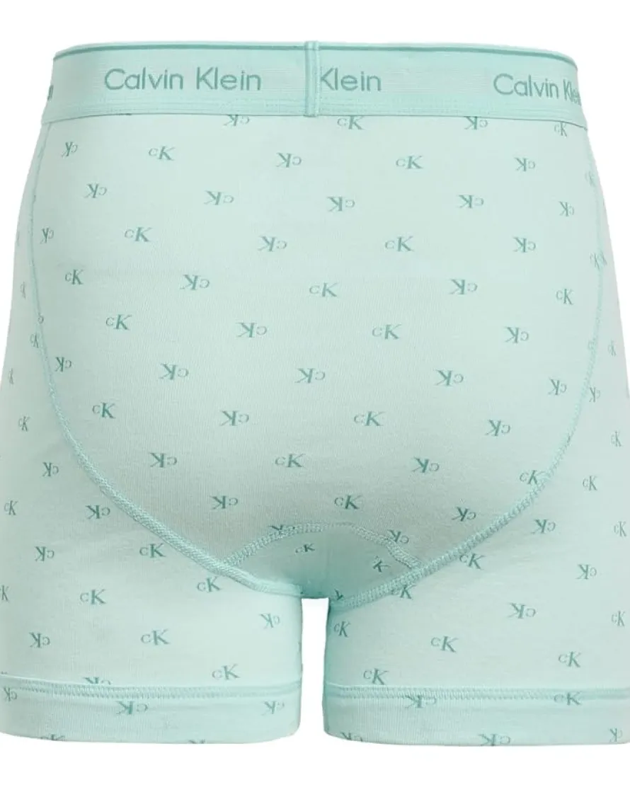 Calvin Klein Underwear Cotton Classics Boxer Brief 3-Pack Men's