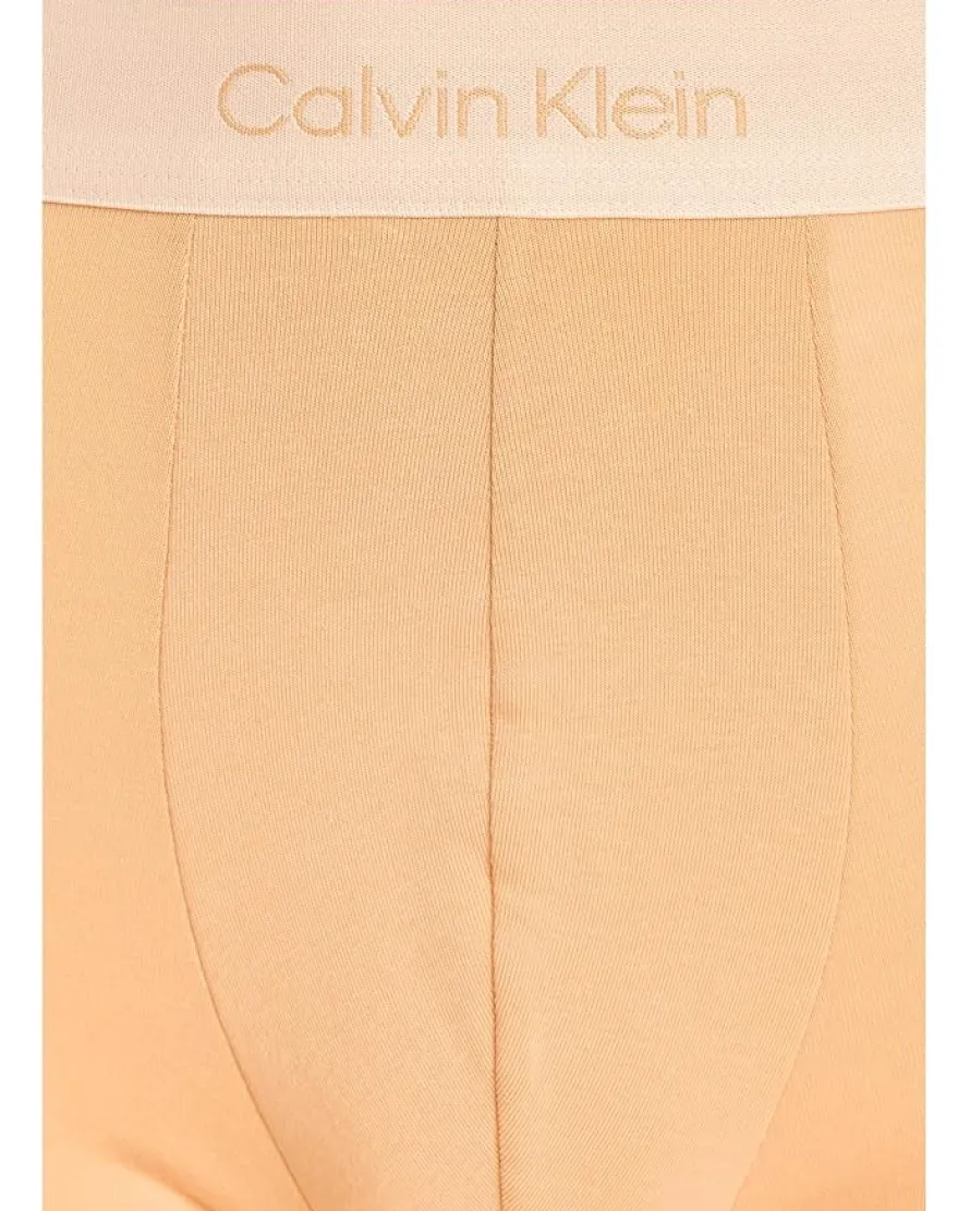 Calvin Klein Underwear Pride Cotton Boxer Briefs 5-Pack Men's