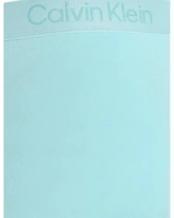 Calvin Klein Underwear Ultra-Soft Modern 3-Pack Boxer Brief Men's