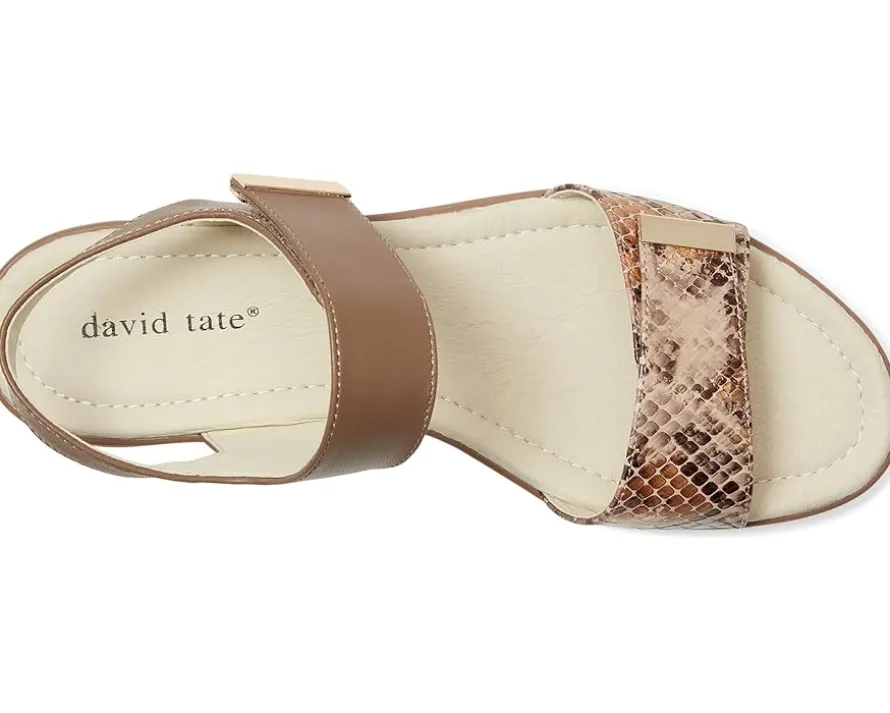 David Tate Civic Women's