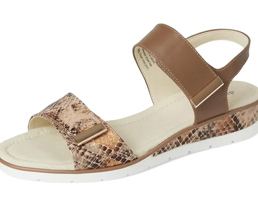 David Tate Civic Women's