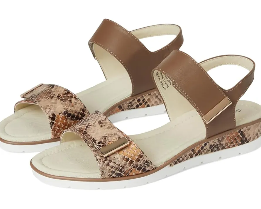 David Tate Civic Women's