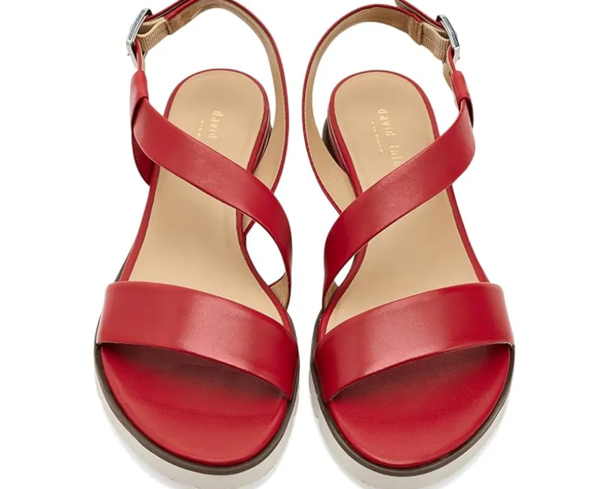 David Tate Islander Women's