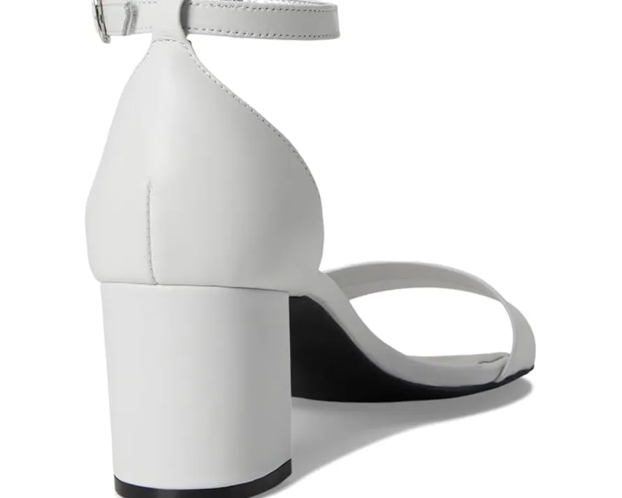 David Tate Timeless Women's