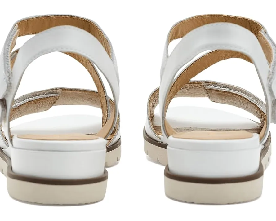 David Tate Triple Women's