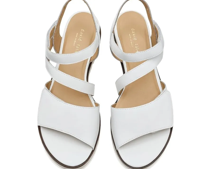 David Tate Triple Women's