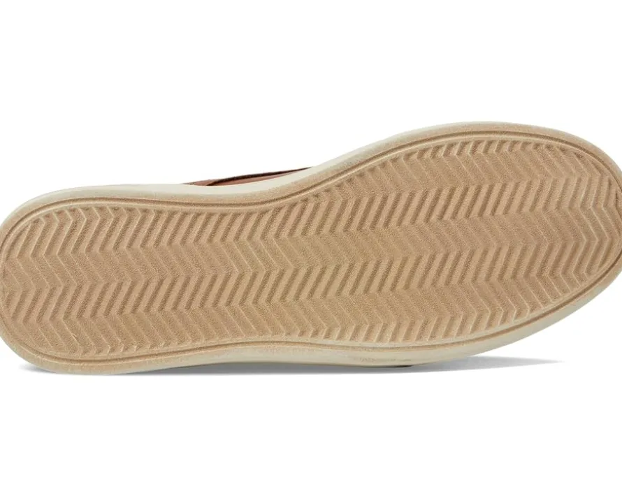Deer Stags Albany Men's