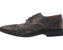 Frye Paul Wingtip Men's