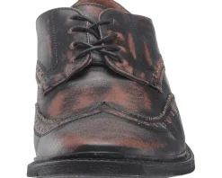 Frye Paul Wingtip Men's