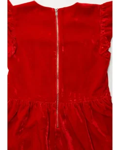 Hatley Kids Velvet Smock Panel Dress (Toddler/Little Kids/Big Kids)