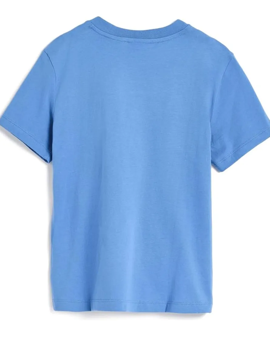 Lacoste Kids Color-Blocked T-Shirt (Big Kid)