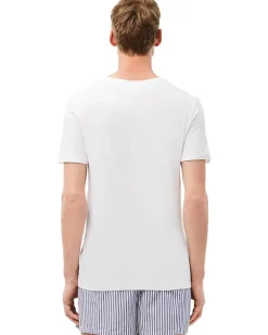 Lacoste 3-Pack V-Neck Slim Fit Essential T-Shirt Men's