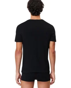 Lacoste 3-Pack V-Neck Slim Fit Essential T-Shirt Men's