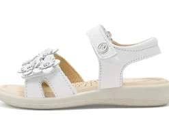 Naturino Brahma (Toddler/Little Kid)