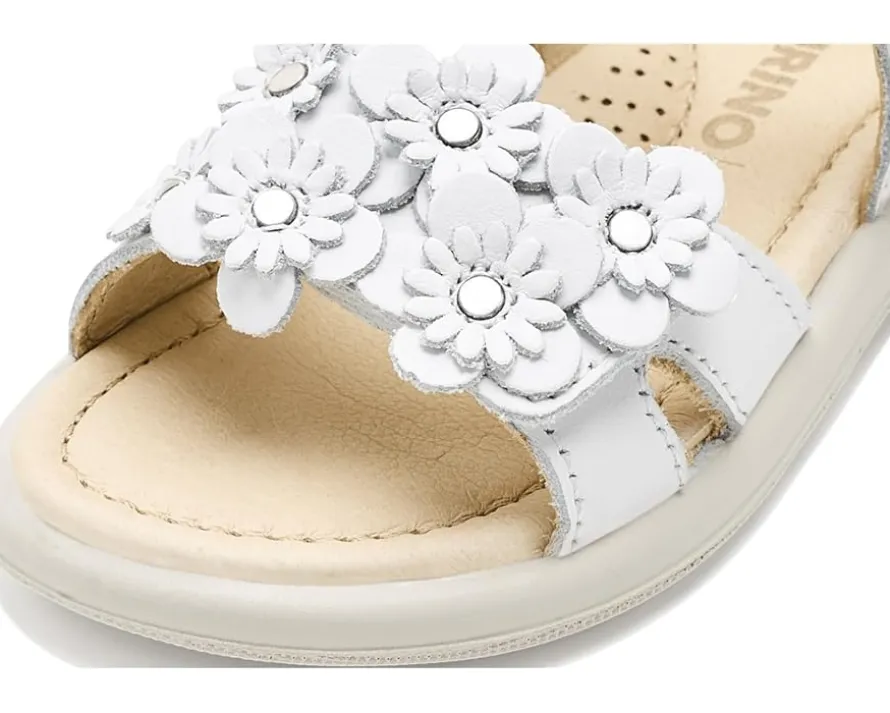 Naturino Brahma (Toddler/Little Kid)