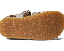Naturino Falcotto Alby (Toddler)