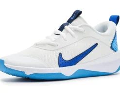 Nike Kids Omni Multi-Court (Big Kid)