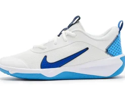 Nike Kids Omni Multi-Court (Big Kid)