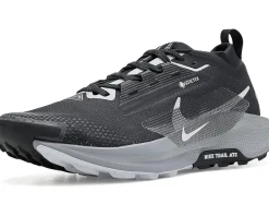 Nike Pegasus Trail 5 GORE-TEX Men's