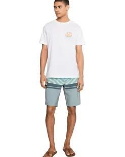 O'Neill Lennox Stripe 21'' Boardshorts Men's