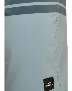 O'Neill Lennox Stripe 21'' Boardshorts Men's