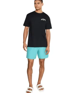 Quiksilver Everyday Solid Volley 17 Men's