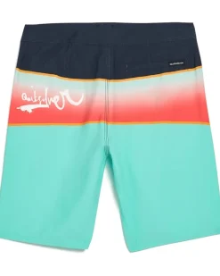 Quiksilver Kids Boys Everyday Panel (Big Kid)