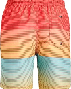 Quiksilver Kids Everyday Mix Volley (Big Kid)