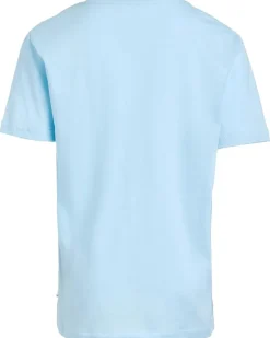 Quiksilver Kids Skeleton Chillin Short Sleeve (Toddler/Little Kid)
