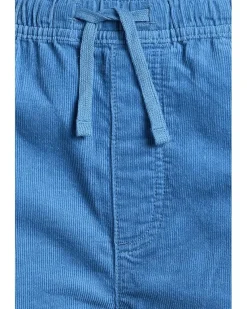 Quiksilver Kids Taxer Cord Shorts (Big Kid)