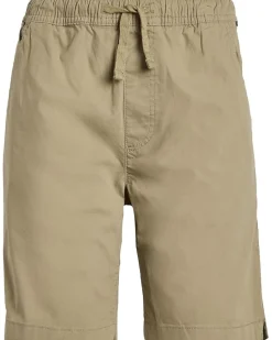 Quiksilver Kids Taxer Shorts (Big Kid)
