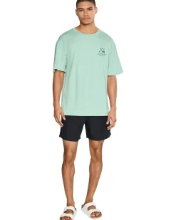 Quiksilver Vintage Bubble Org Screen Tee Men's