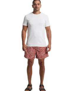 Royal Robbins All In Shorts Men's